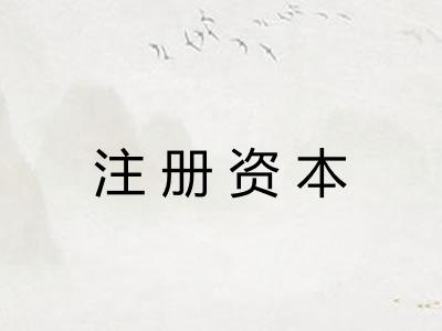 注册资本 注册资本