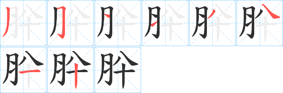 肸的笔顺分步演示图