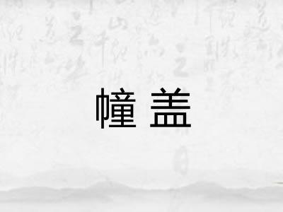 幢盖