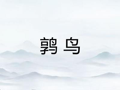 鹑鸟