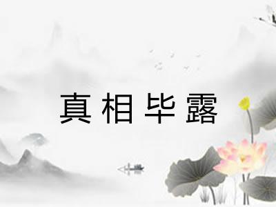 真相毕露