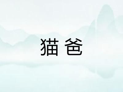 猫爸