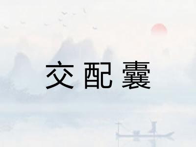 交配囊