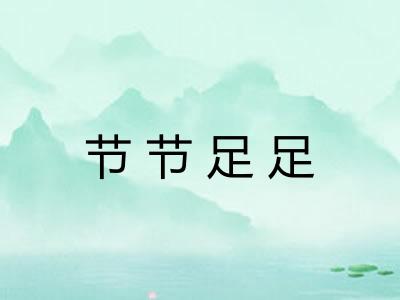 节节足足