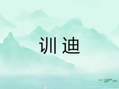 训迪
