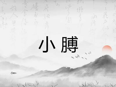小膊