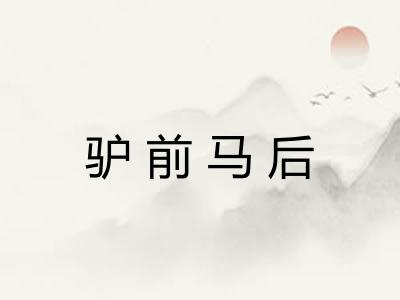 驴前马后