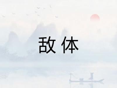 敌体