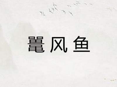 鼍风鱼