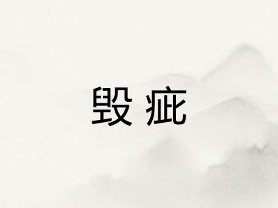 毁疵