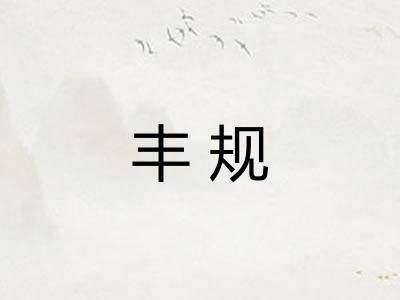 丰规