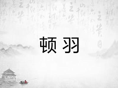 顿羽