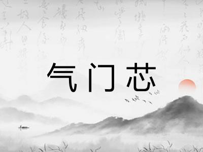 气门芯