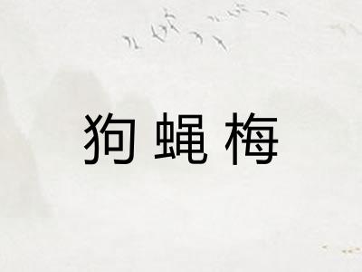 狗蝇梅