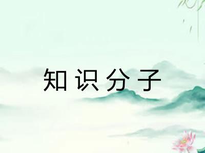 知识分子