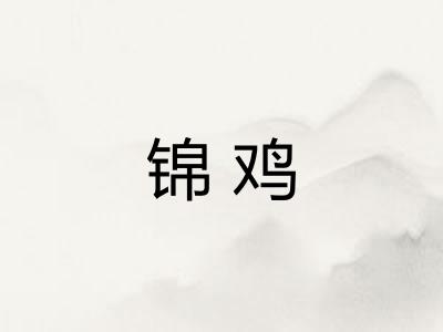 锦鸡