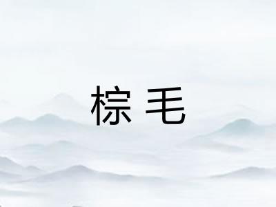 棕毛