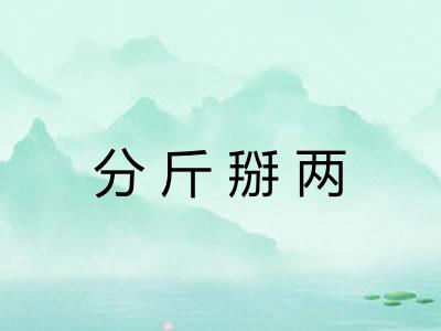 分斤掰两