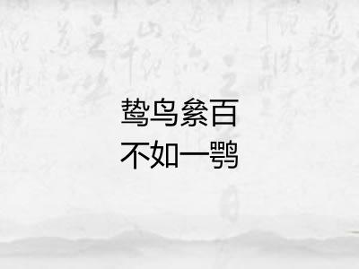 鸷鸟絫百不如一鹗