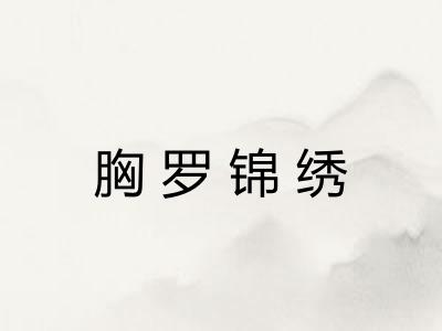 胸罗锦绣