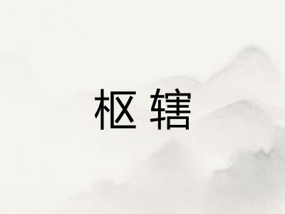 枢辖