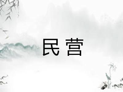 民营