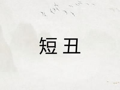 短丑