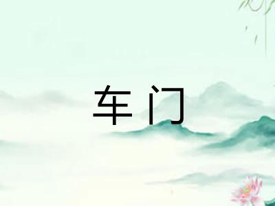 车门