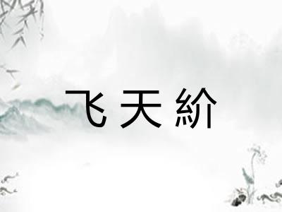 飞天紒