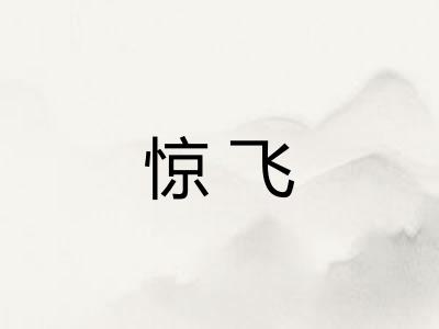 惊飞