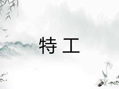 特工