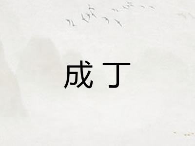 成丁