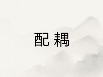 配耦