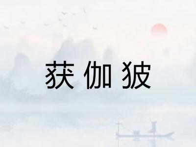 获伽狓