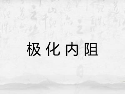 极化内阻