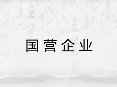 国营企业