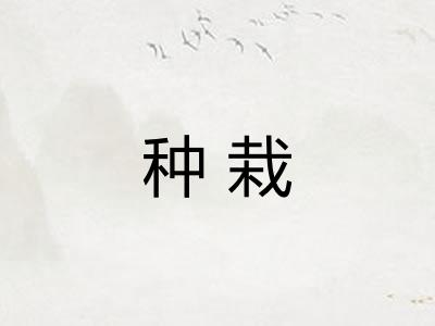种栽