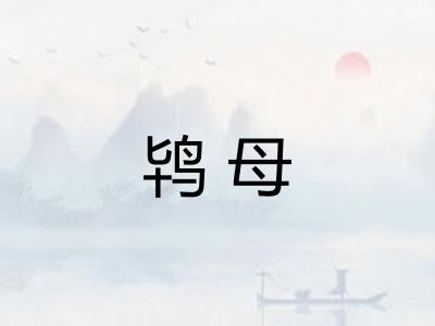 鸨母