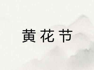 黄花节