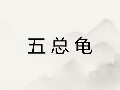 五总龟