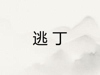 逃丁