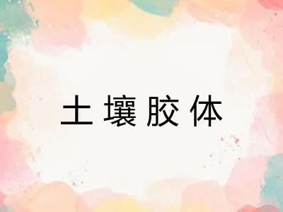 土壤胶体