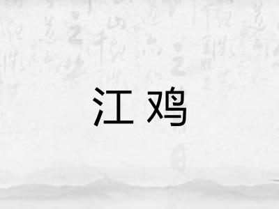 江鸡