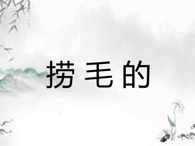 捞毛的