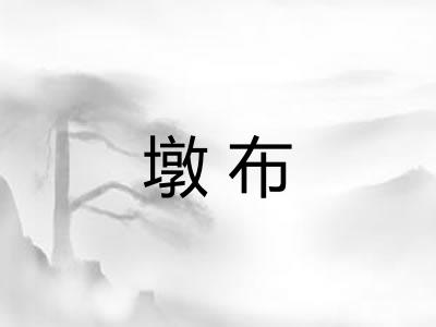 墩布