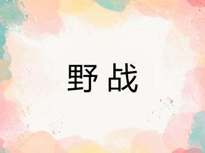 野战