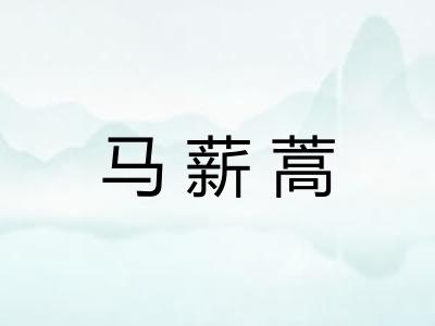 马薪蒿