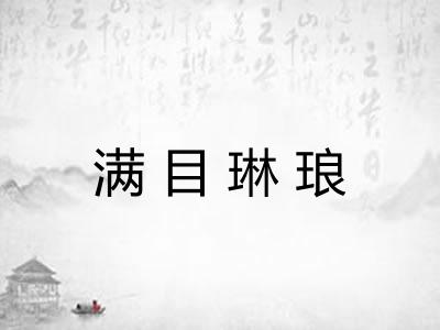 满目琳琅