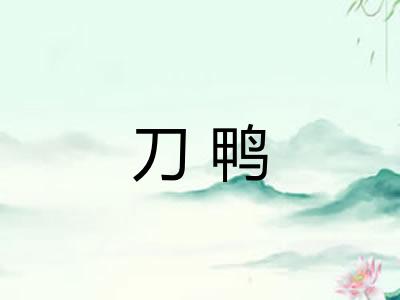 刀鸭