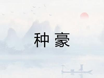 种豪